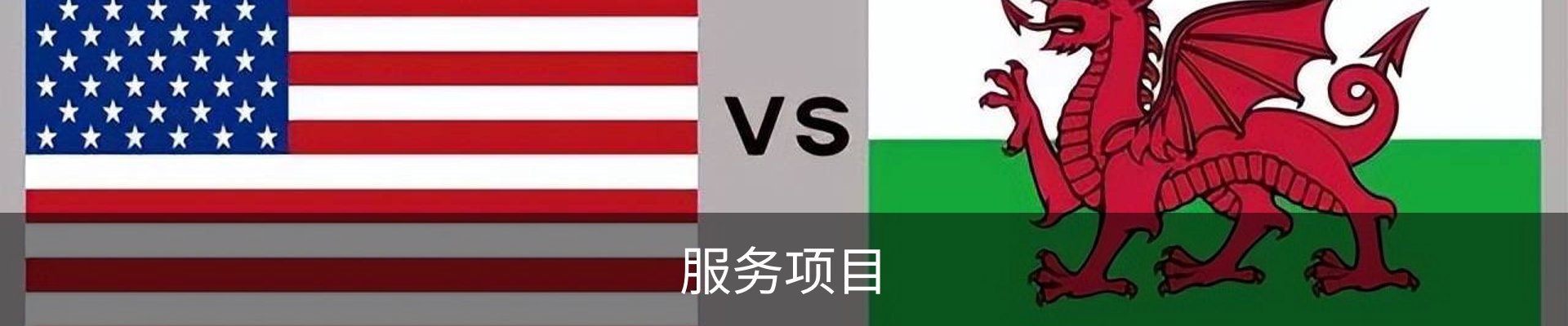 服务项目